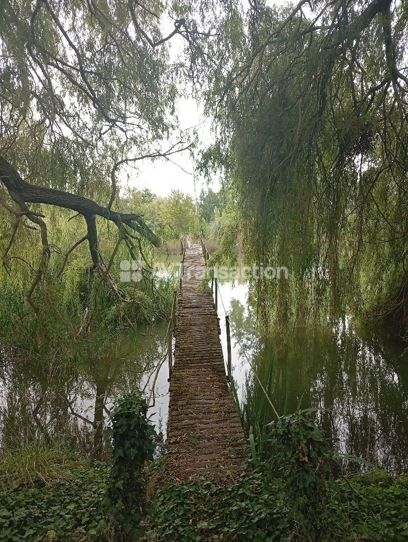 Maison à vendre  - 6 pièce(s) - 180m2 - Mirebeau (86110)