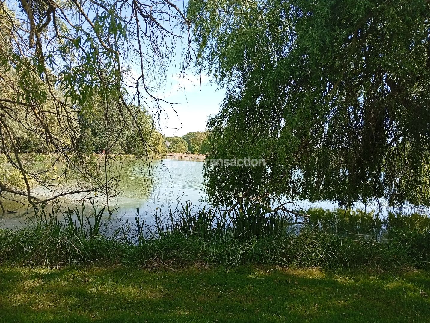 Maison à vendre  - 6 pièce(s) - 180m2 - Mirebeau (86110)