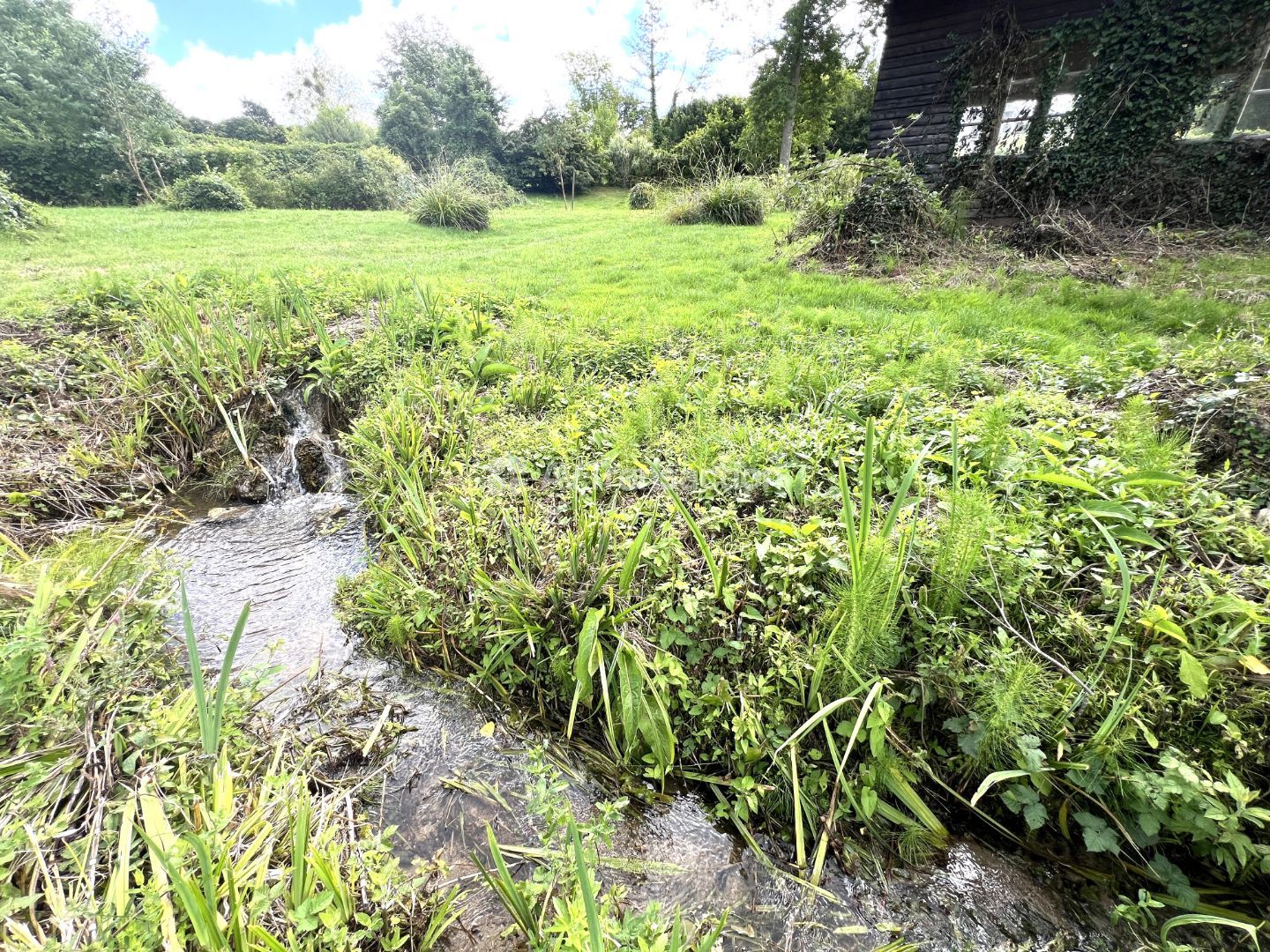 Maison à ossature bois à vendre  - 3 pièce(s) - 84m2 - Cabourg (14390)