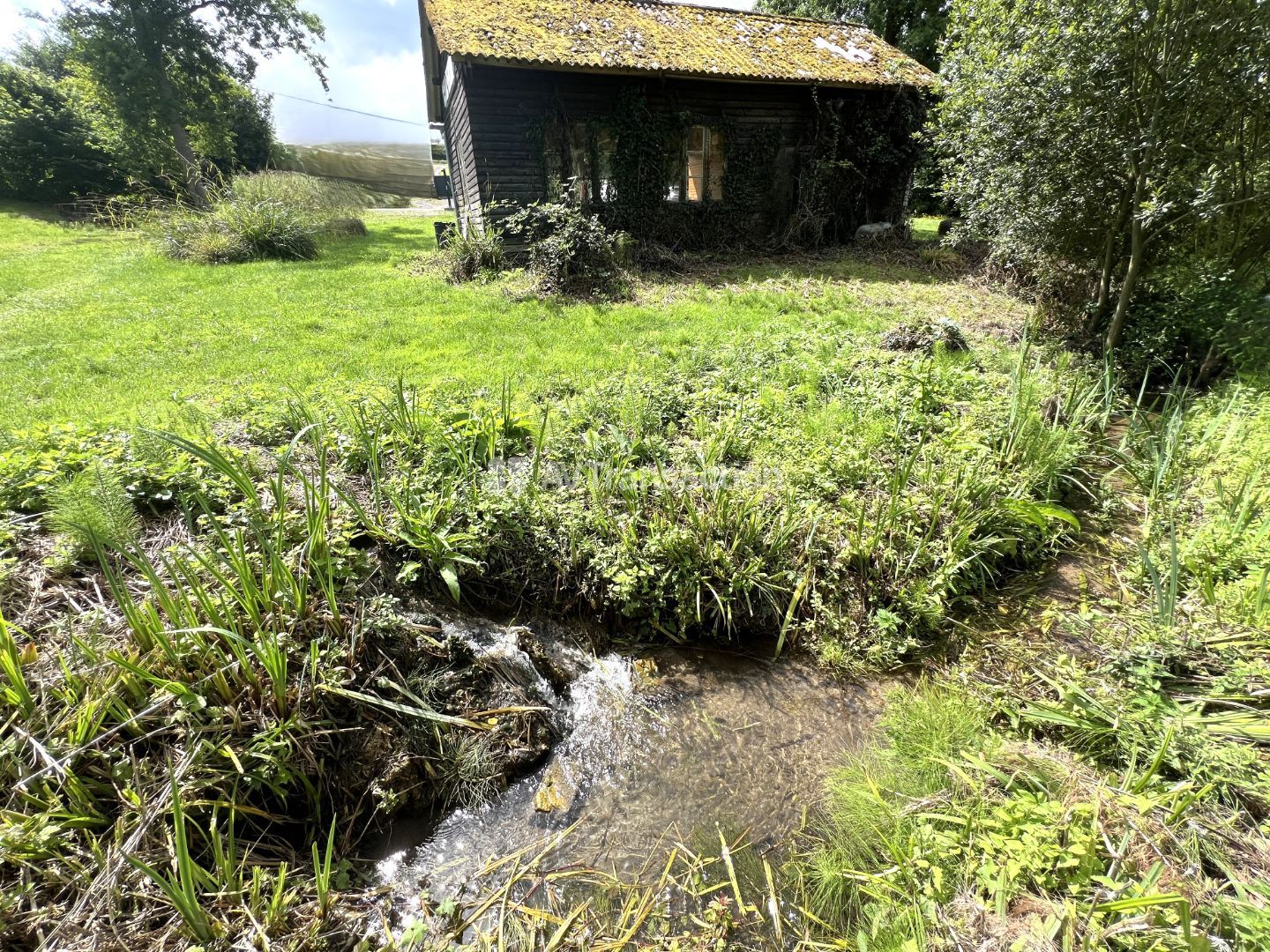 Maison à ossature bois à vendre  - 3 pièce(s) - 84m2 - Cabourg (14390)