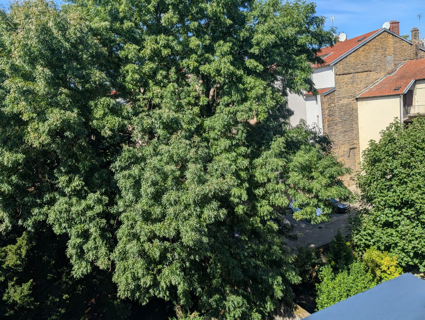 Appartement à vendre  - 3 pièce(s) - 54m2 - Lyon (69009)