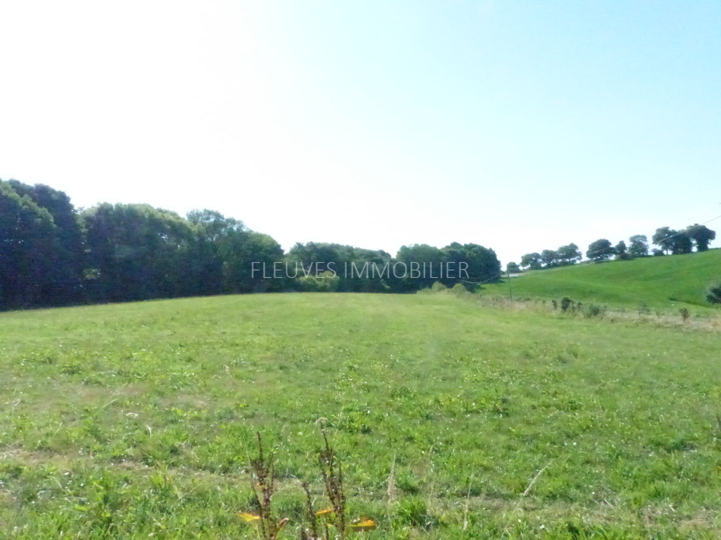 Ferme à vendre  - 5 pièce(s) - 90m2 - Navarrenx (64190)