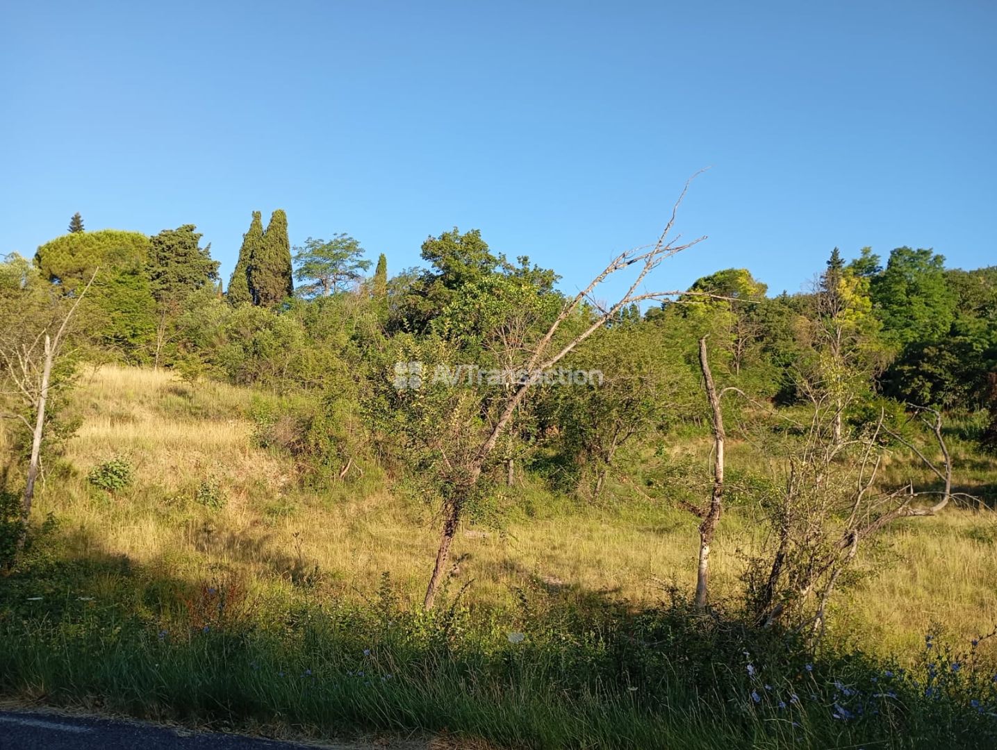 BARGEMON : Magnifiques terrains à partir de 2000m2