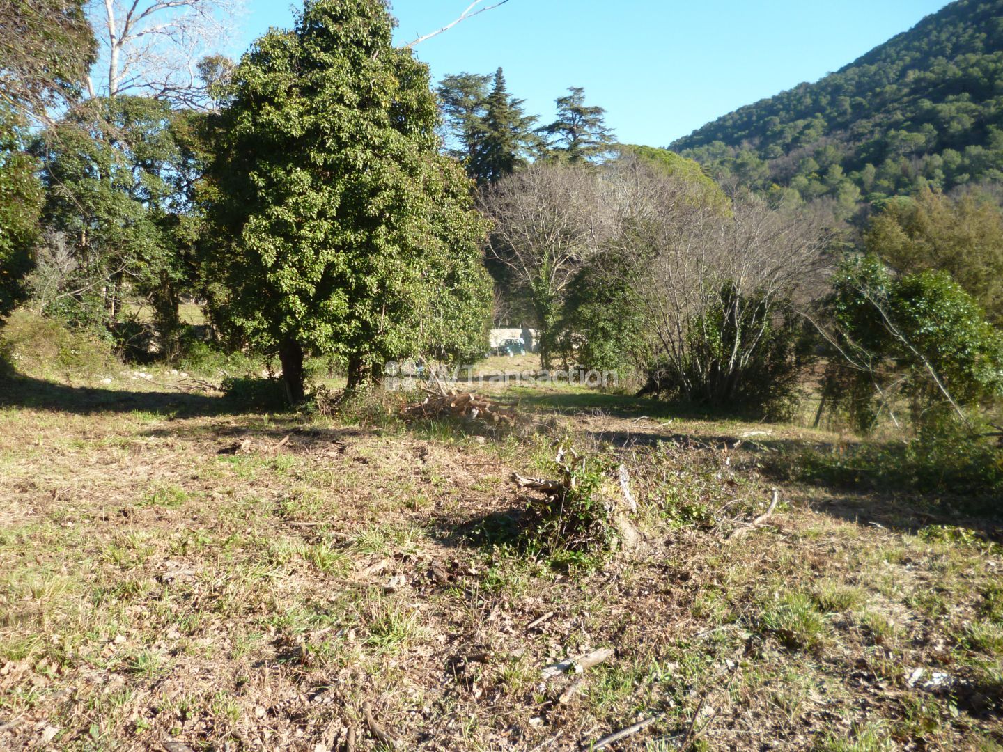 Terrain constructible à vendre  - 2000m2 - Bargemon (83830)