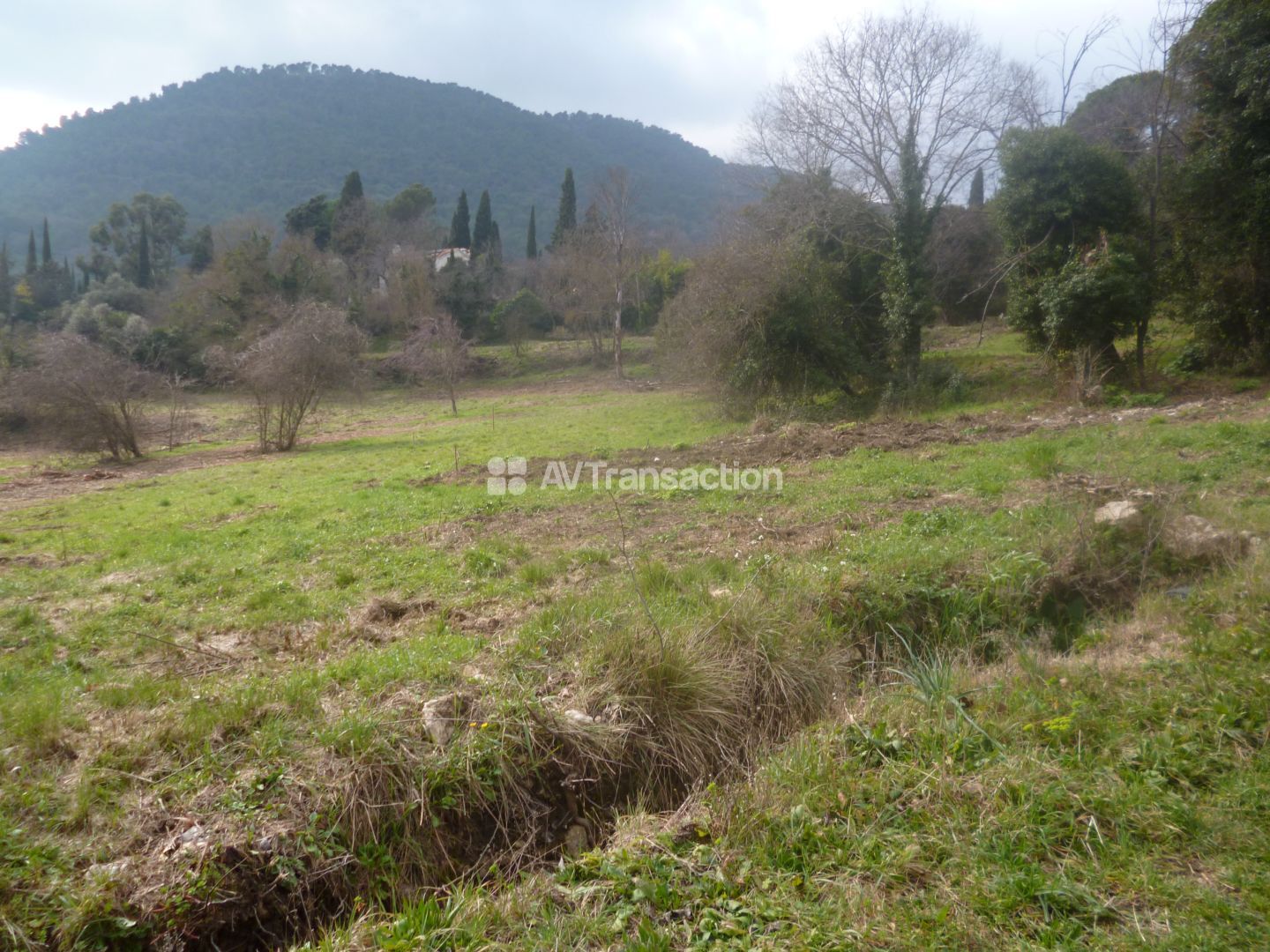 Terrain constructible à vendre  - 2000m2 - Bargemon (83830)