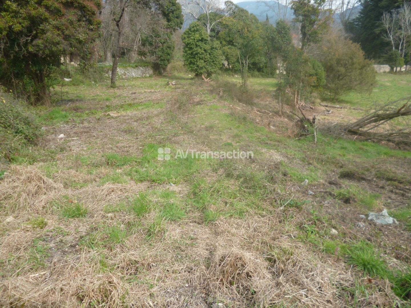 Terrain constructible à vendre  - 2000m2 - Bargemon (83830)
