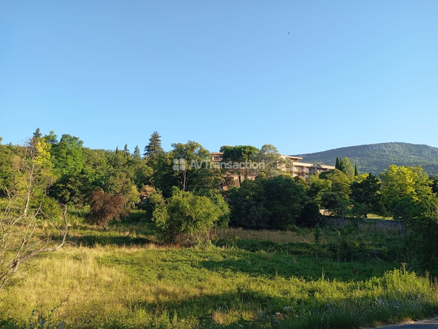 Terrain constructible à vendre  - 2000m2 - Bargemon (83830)