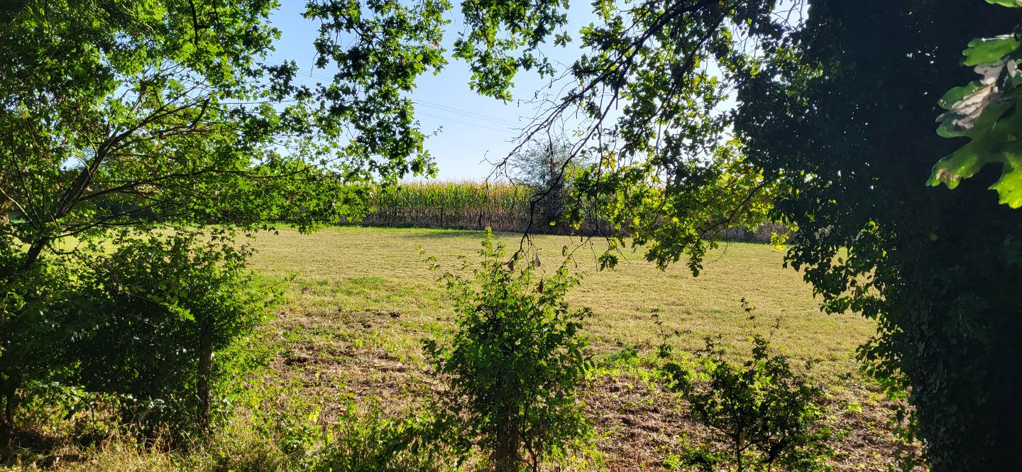 Terrain constructible à vendre  - 1123m2 - Saint-cyr-sur-menthon (01380)