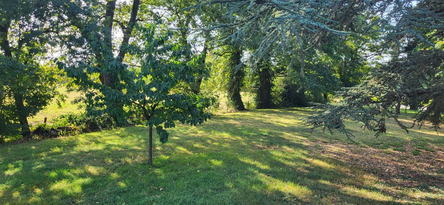 Terrain constructible à vendre  - 1123m2 - Saint-cyr-sur-menthon (01380)