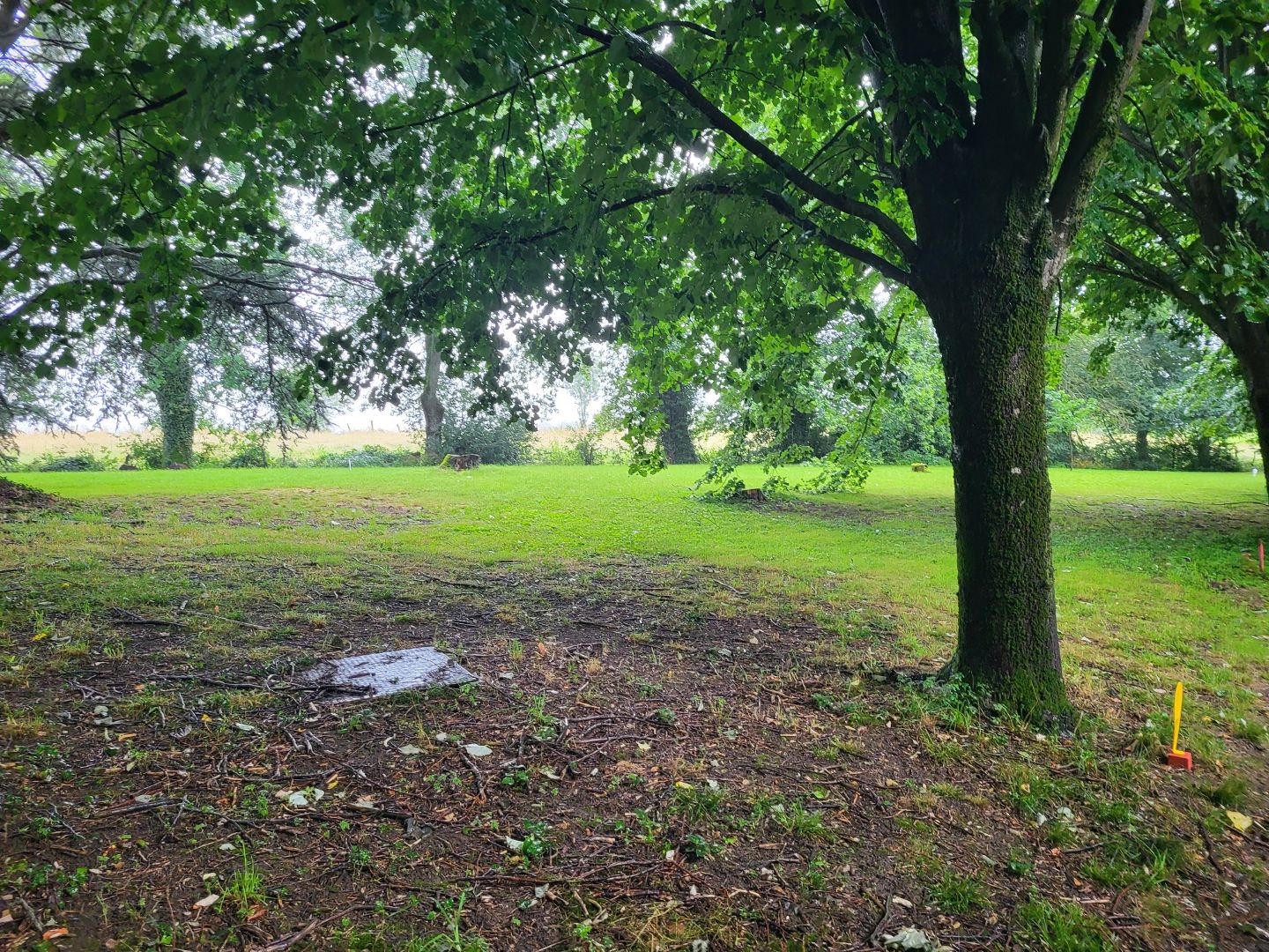 Terrain constructible à vendre  - 1123m2 - Saint-cyr-sur-menthon (01380)