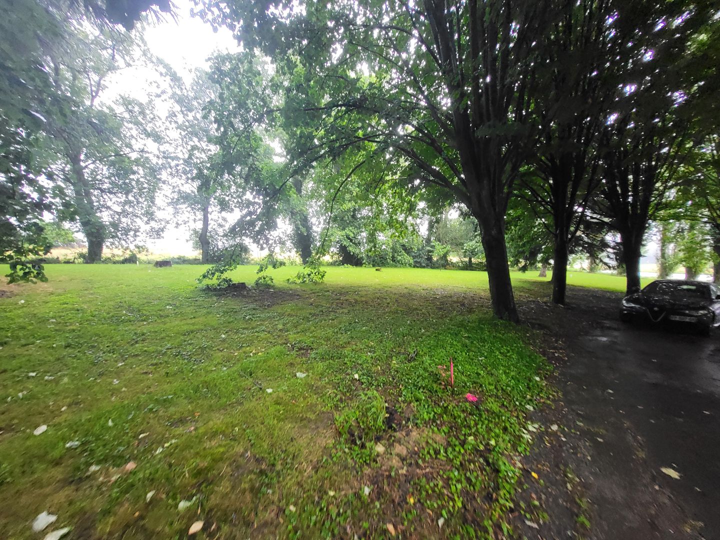 Terrain constructible à vendre  - 1123m2 - Saint-cyr-sur-menthon (01380)