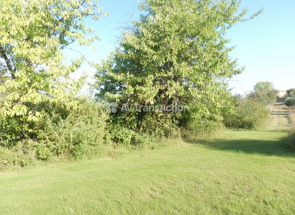 Terrain non constructible à vendre  - 4827m2 - Aups (83630)