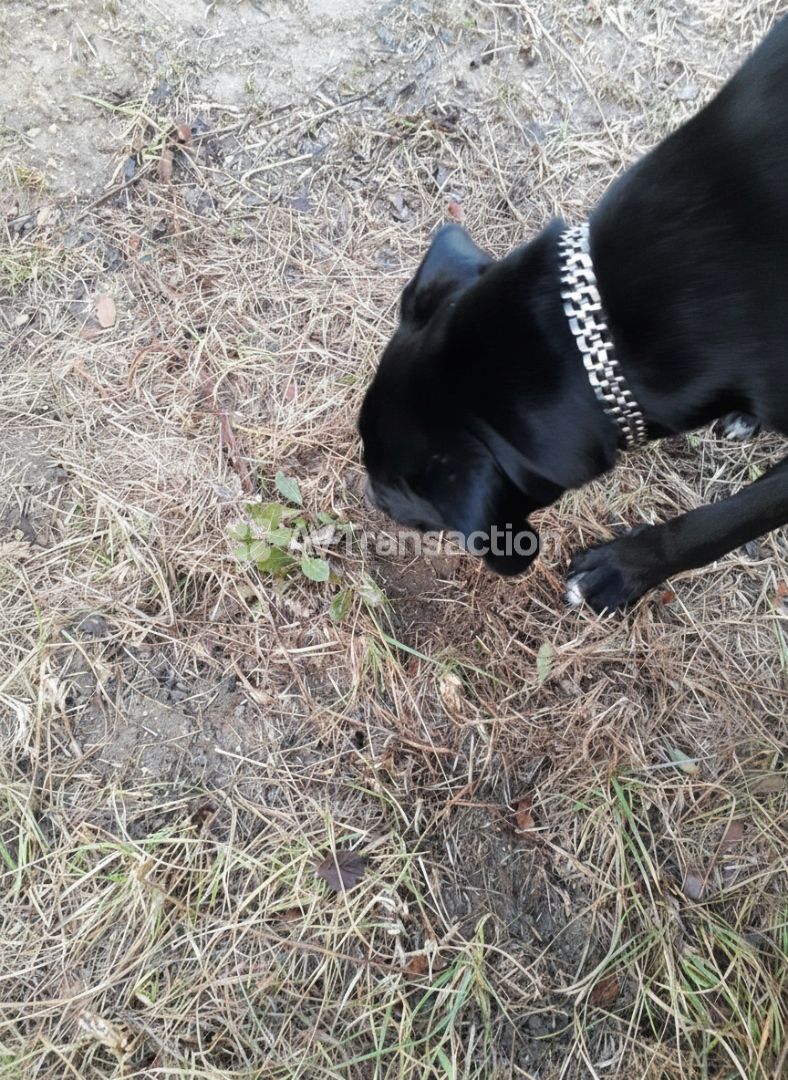 Terrain non constructible à vendre  - Aups (83630)