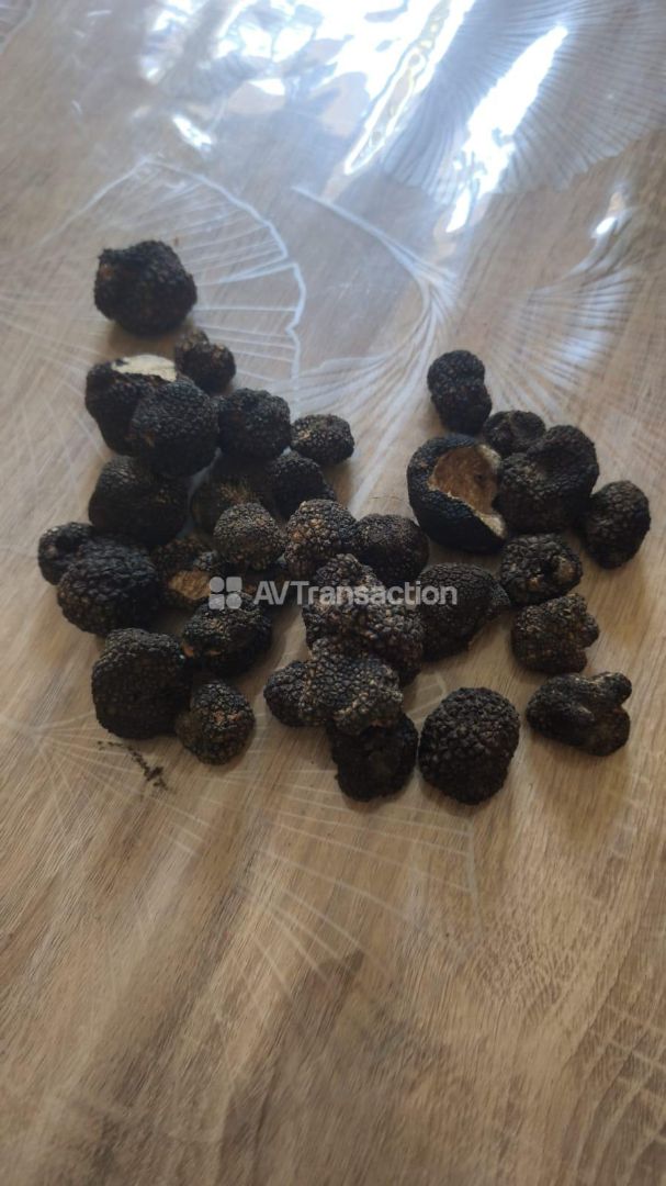 Terrain non constructible à vendre  - Aups (83630)