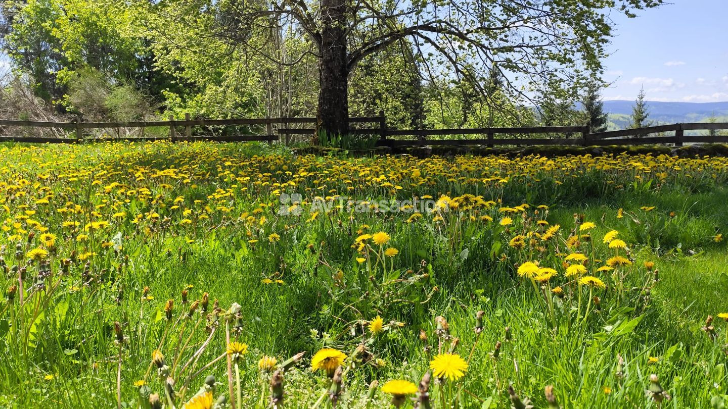 Maison à vendre  - 8 pièce(s) - 270m2 - Chaumély (07630)