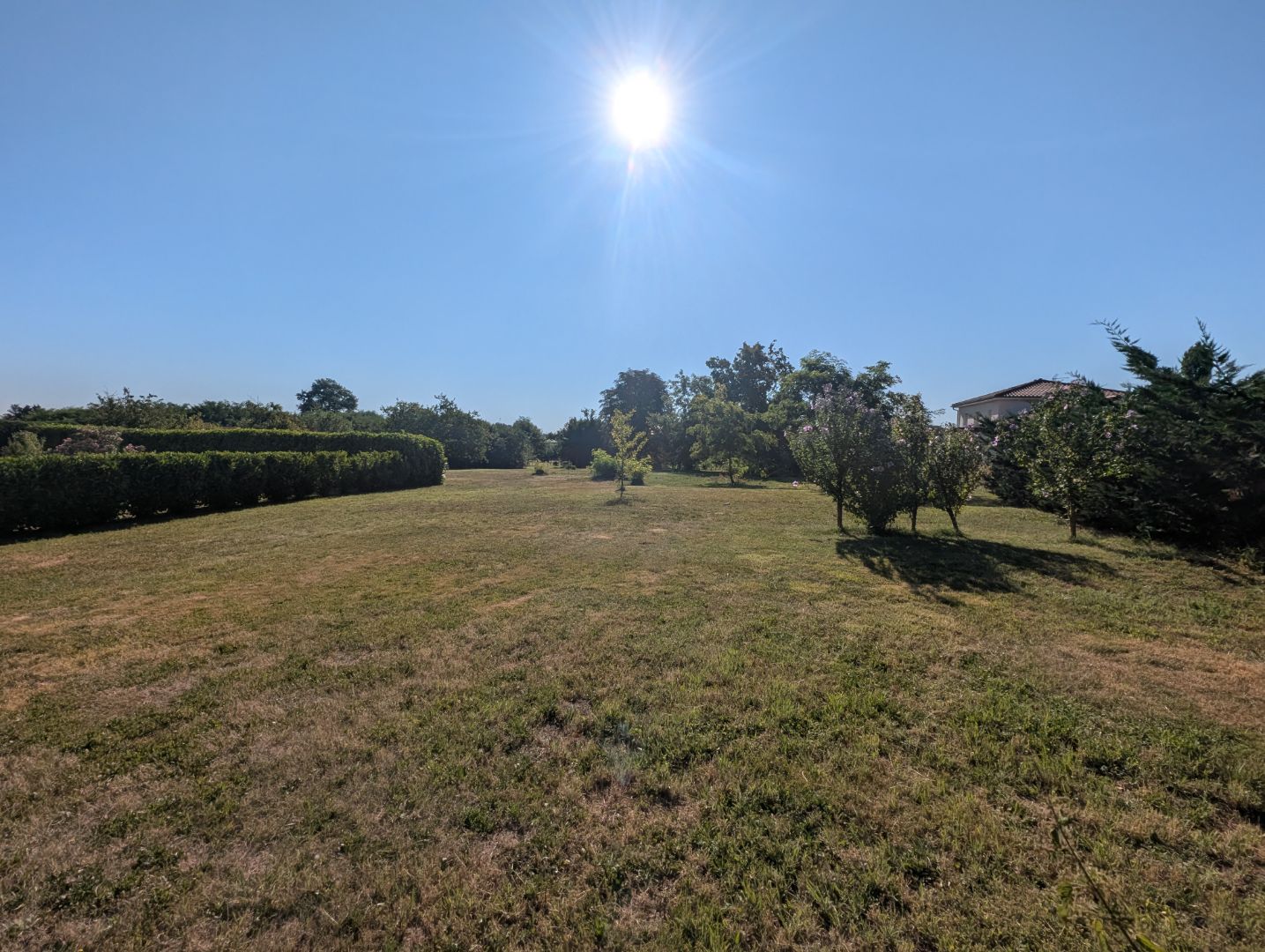 Maison à vendre  - 12 pièce(s) - 295m2 - Grieges (01290)