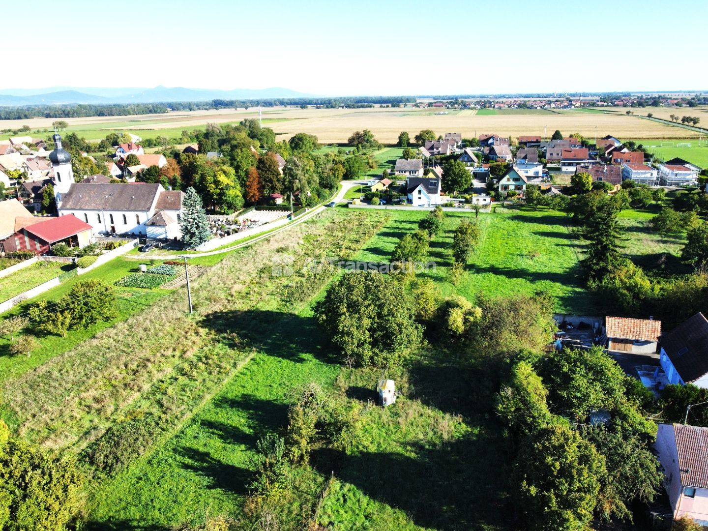 Terrain à vendre  - Grussenheim (68320)