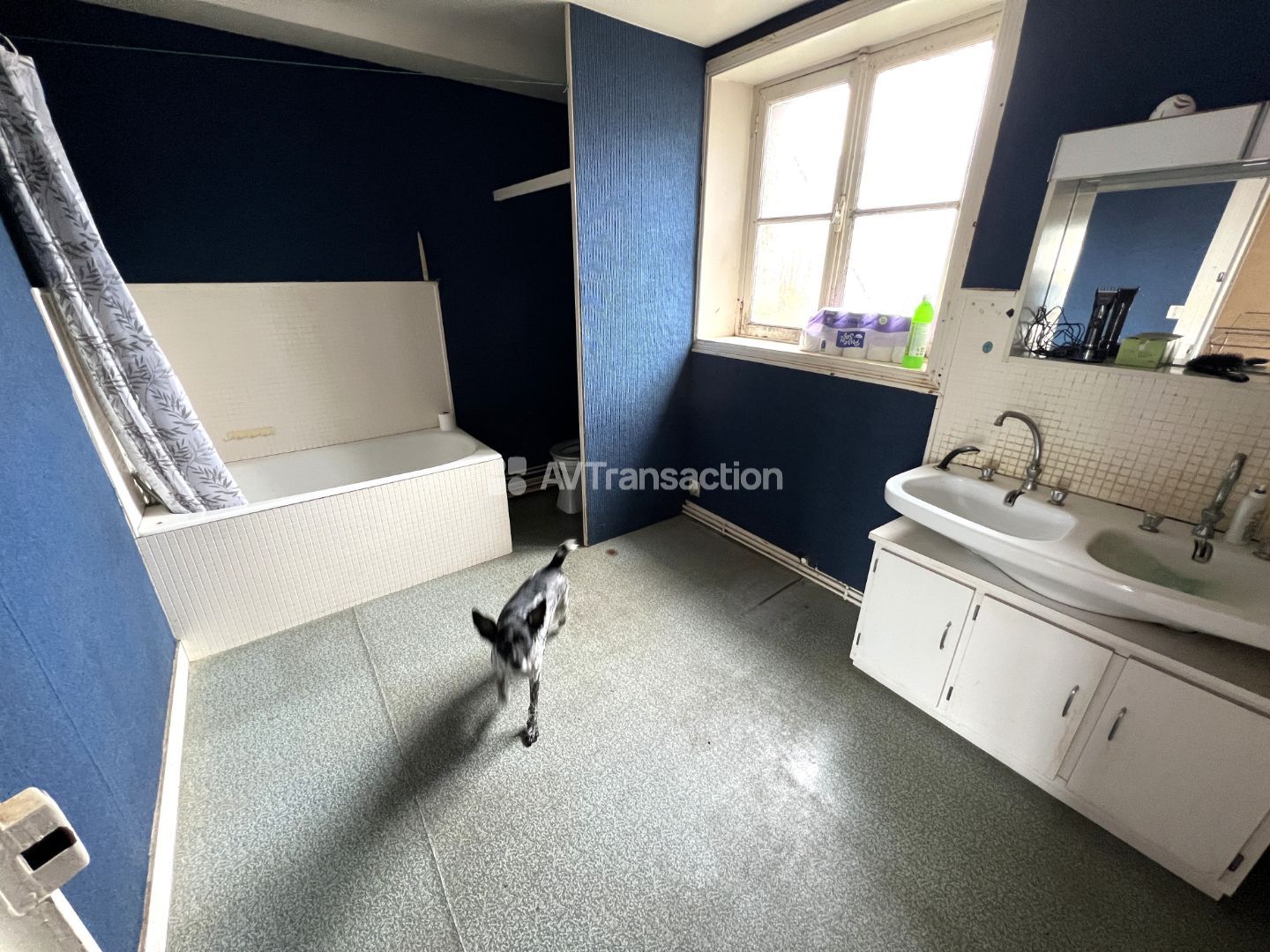 A vendre , Isigny sur Mer (14230 ) immeuble de rapport , 128 m2