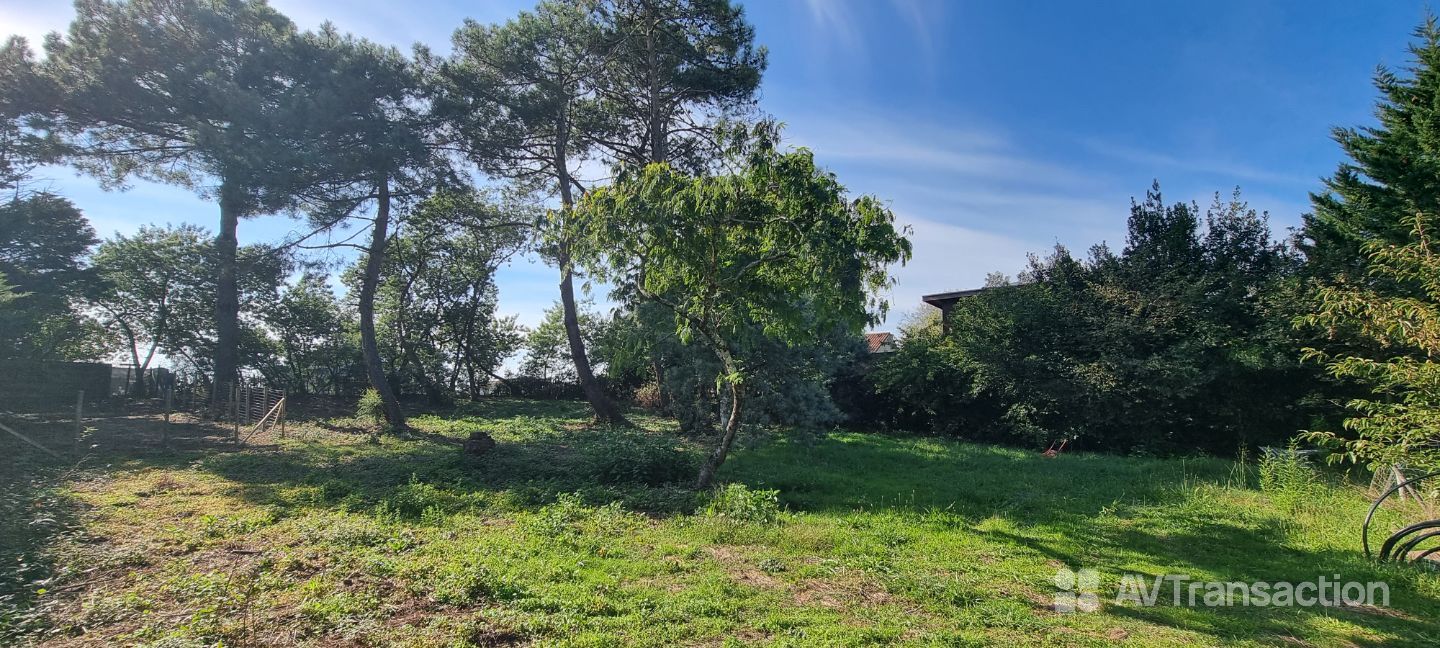 Terrain constructible à vendre  - 985m2 - Soustons (40140)