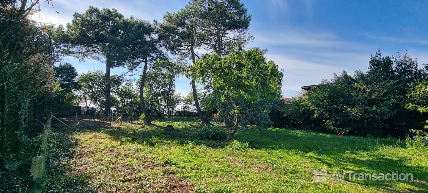 Terrain constructible à vendre  - 985m2 - Soustons (40140)