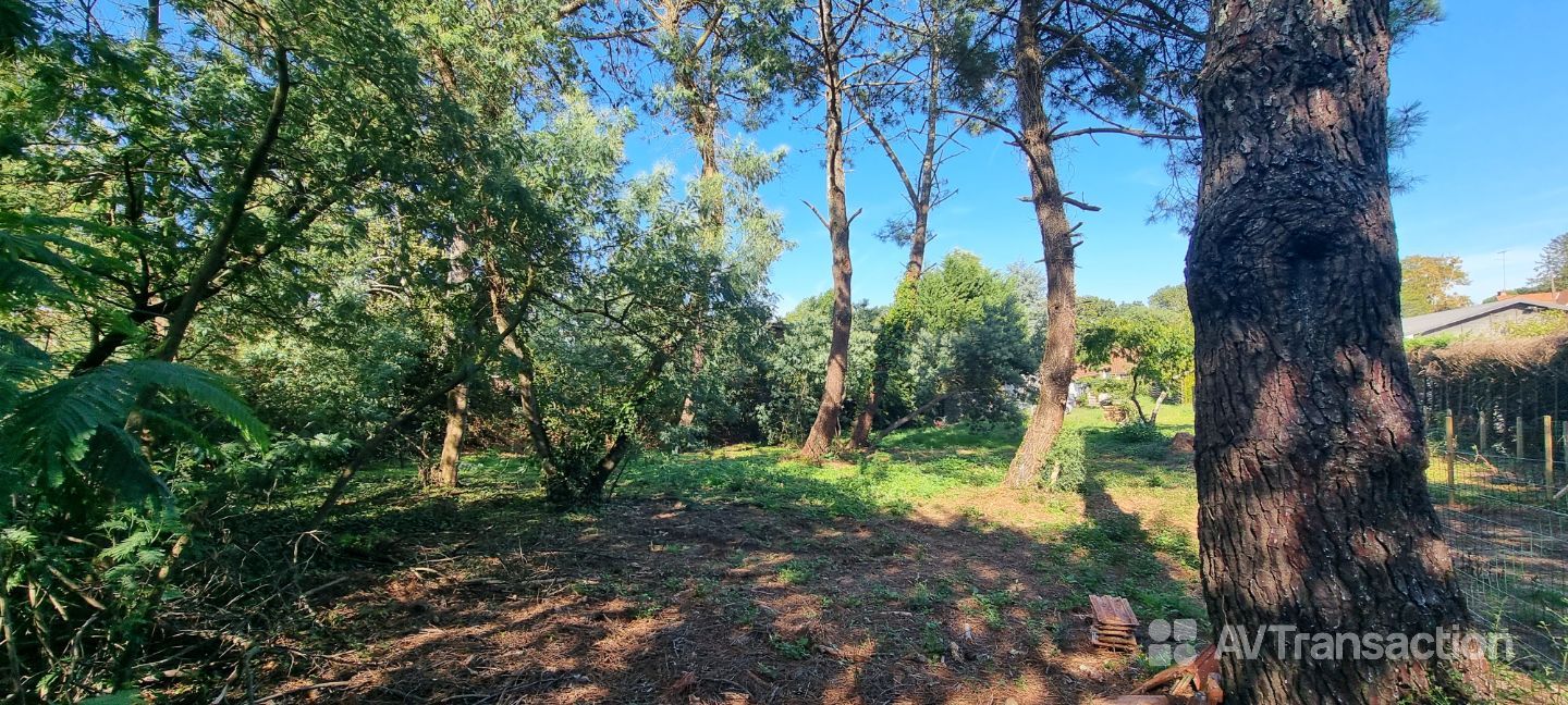 Terrain constructible au centre de Soustons