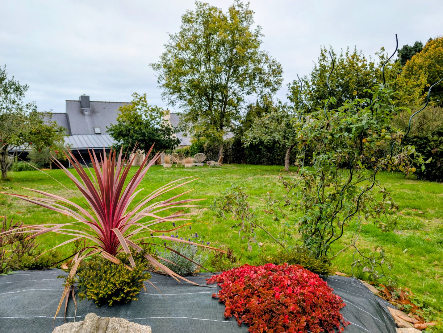 Maison à vendre  - 6 pièce(s) - 163m2 - Binic-étables-sur-mer (22520)