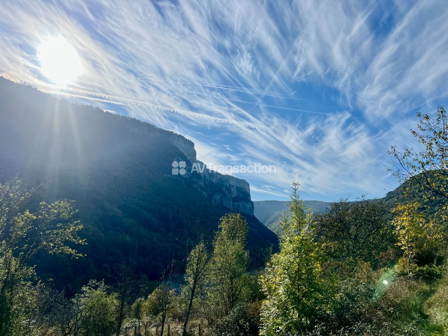 Terrain à vendre  - 1890m2 - Tenay (01230)