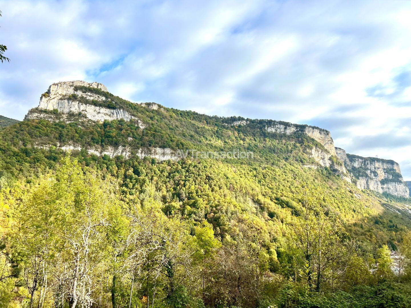 Terrain à vendre  - 1890m2 - Tenay (01230)