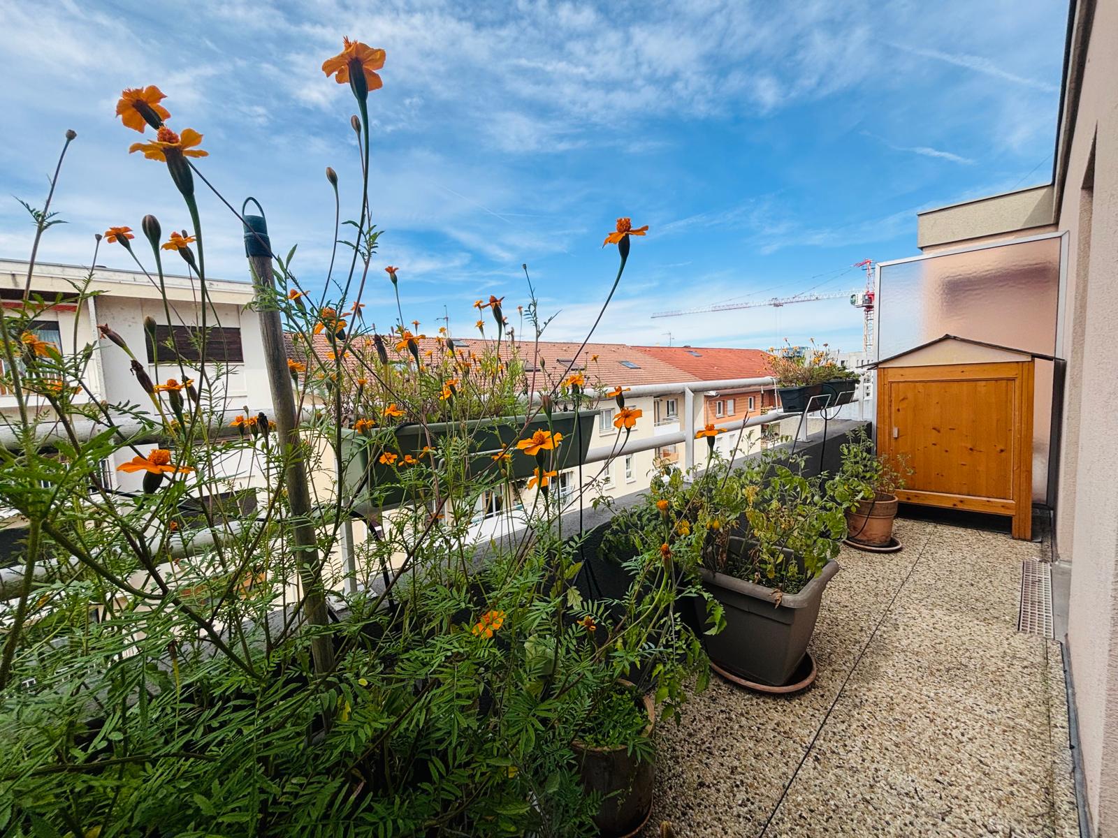 Appartement terrasse à vendre  - 4 pièce(s) - 92m2 - Annemasse (74100)