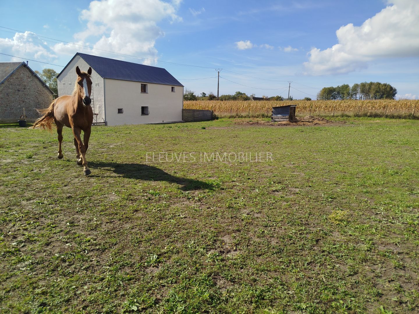 Maison à vendre  - 138m2 - Lessay (50430)