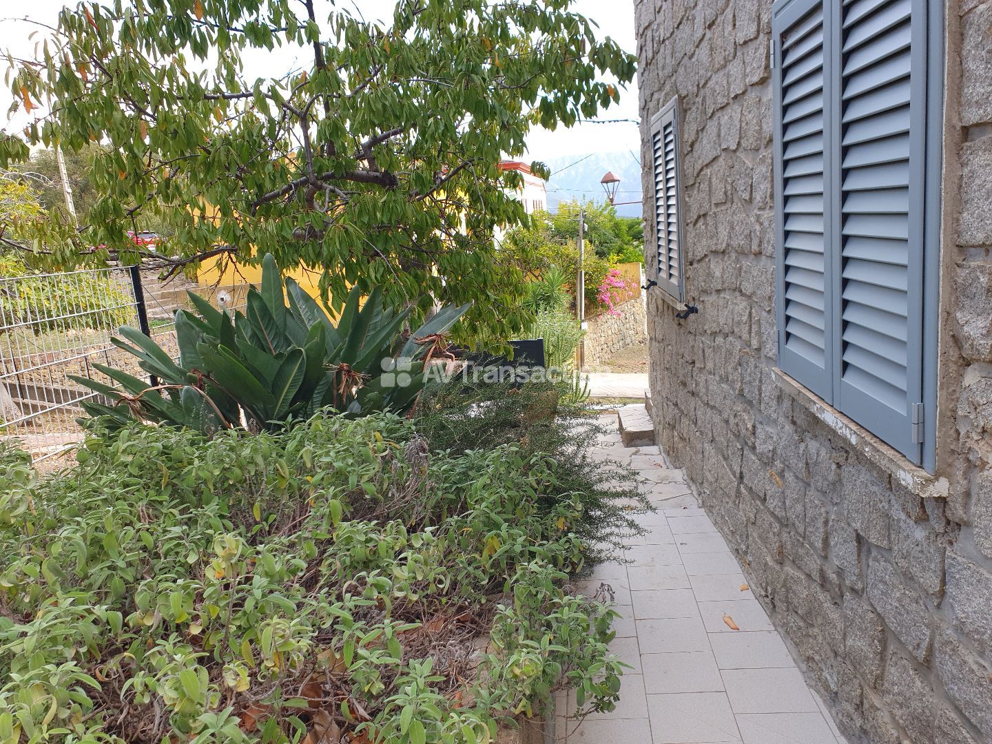 Maison en pierre à vendre  - 6 pièce(s) - 141m2 - Osani (20147)