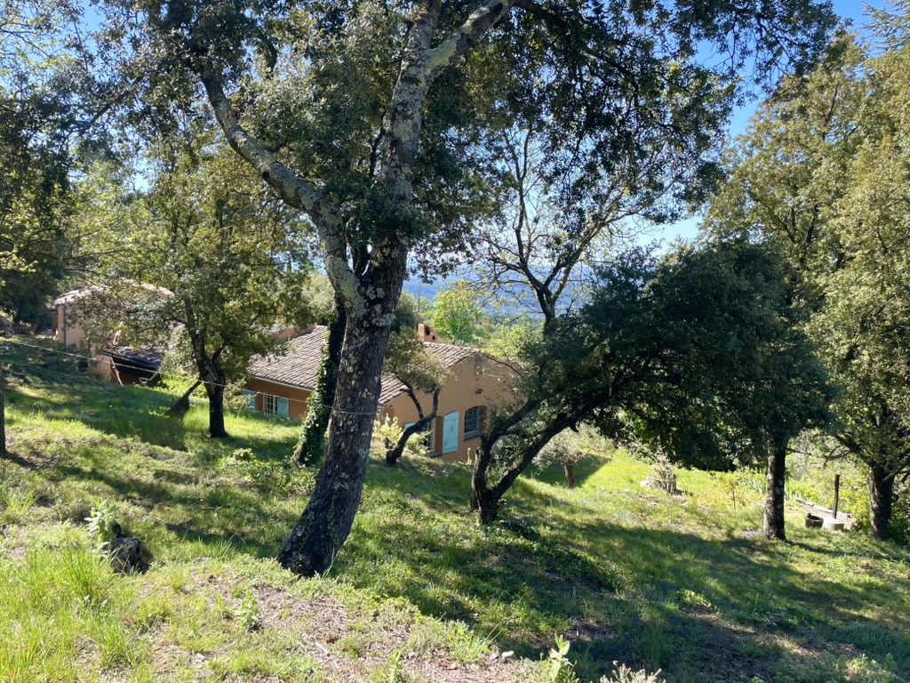 Maison à vendre  - 8 pièce(s) - 170m2 - Tourtour (83690)