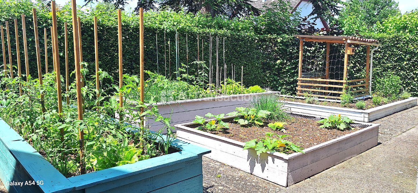 Maison à vendre  - 8 pièce(s) - 285m2 - Dorlisheim (67120)