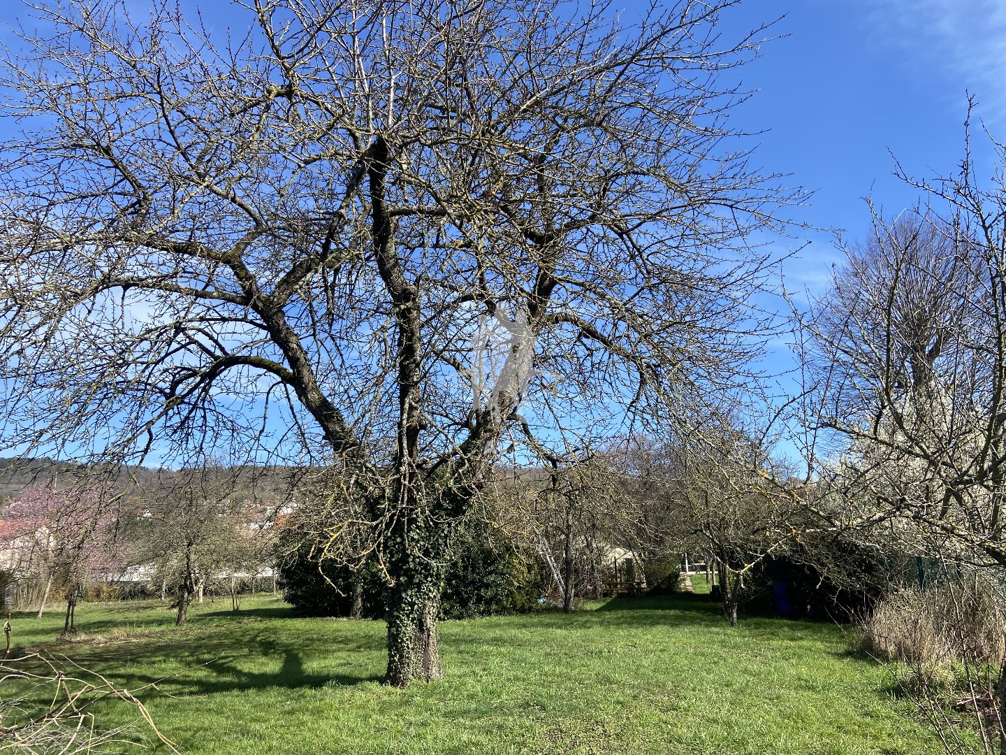 Terrain à vendre  - 2375m2 - Malzeville (54220)