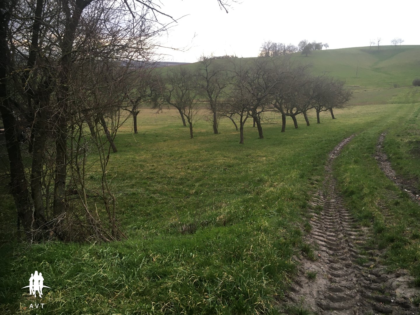 Terrain constructible à vendre  - 1845m2 - Velving (57220)