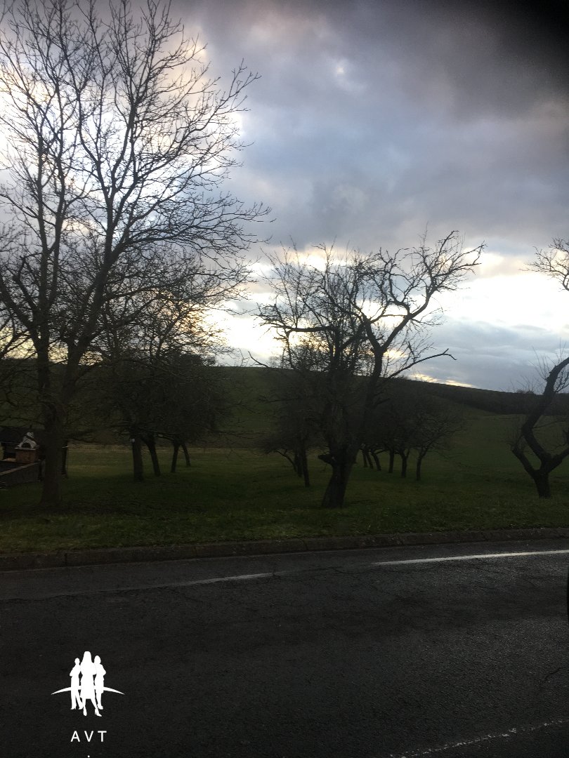 Terrain constructible à vendre  - 1845m2 - Velving (57220)