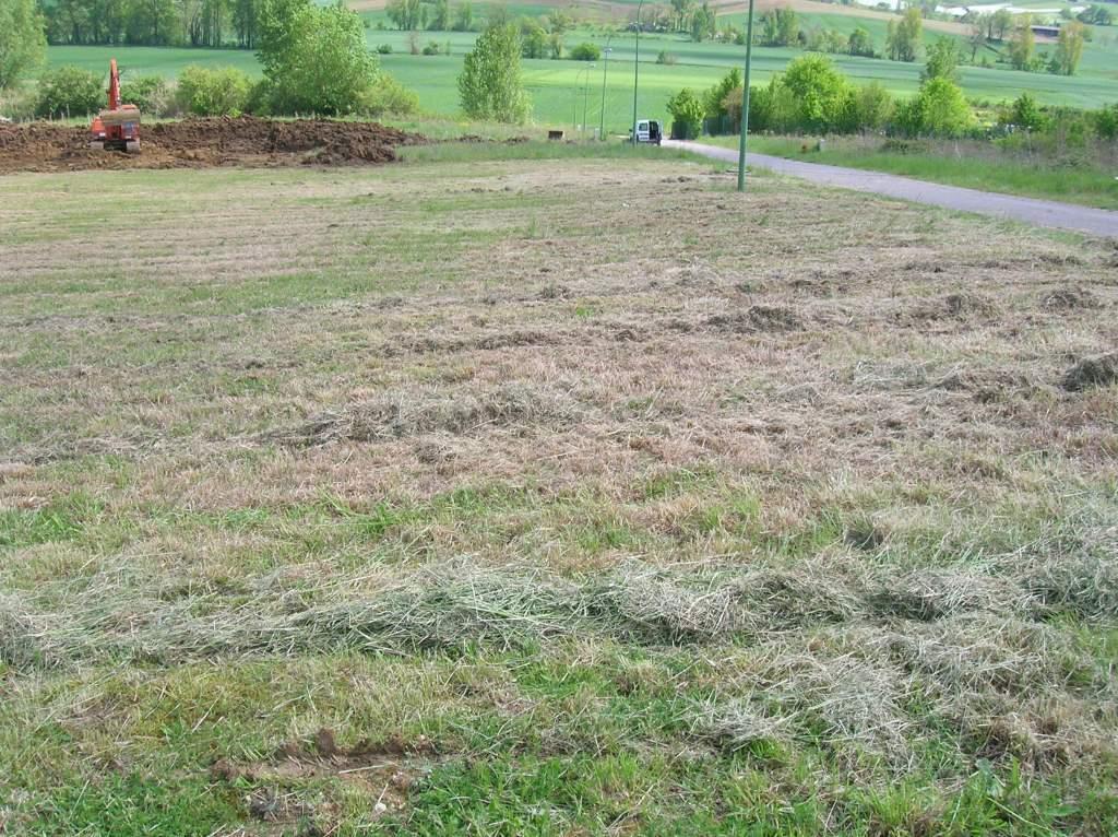 Terrain à vendre  - 2691m2 - La Pépinière (82110)