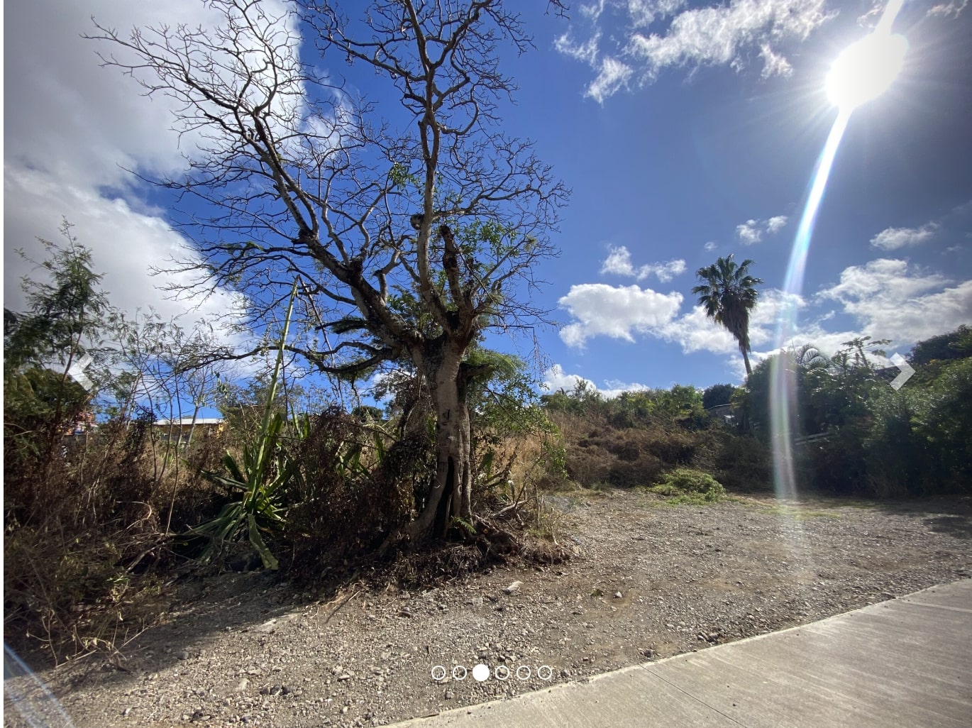 🌿 À SAISIR – TERRAIN CONSTRUCTIBLE À L’ÉPERON / SAINT-GILLES-LE