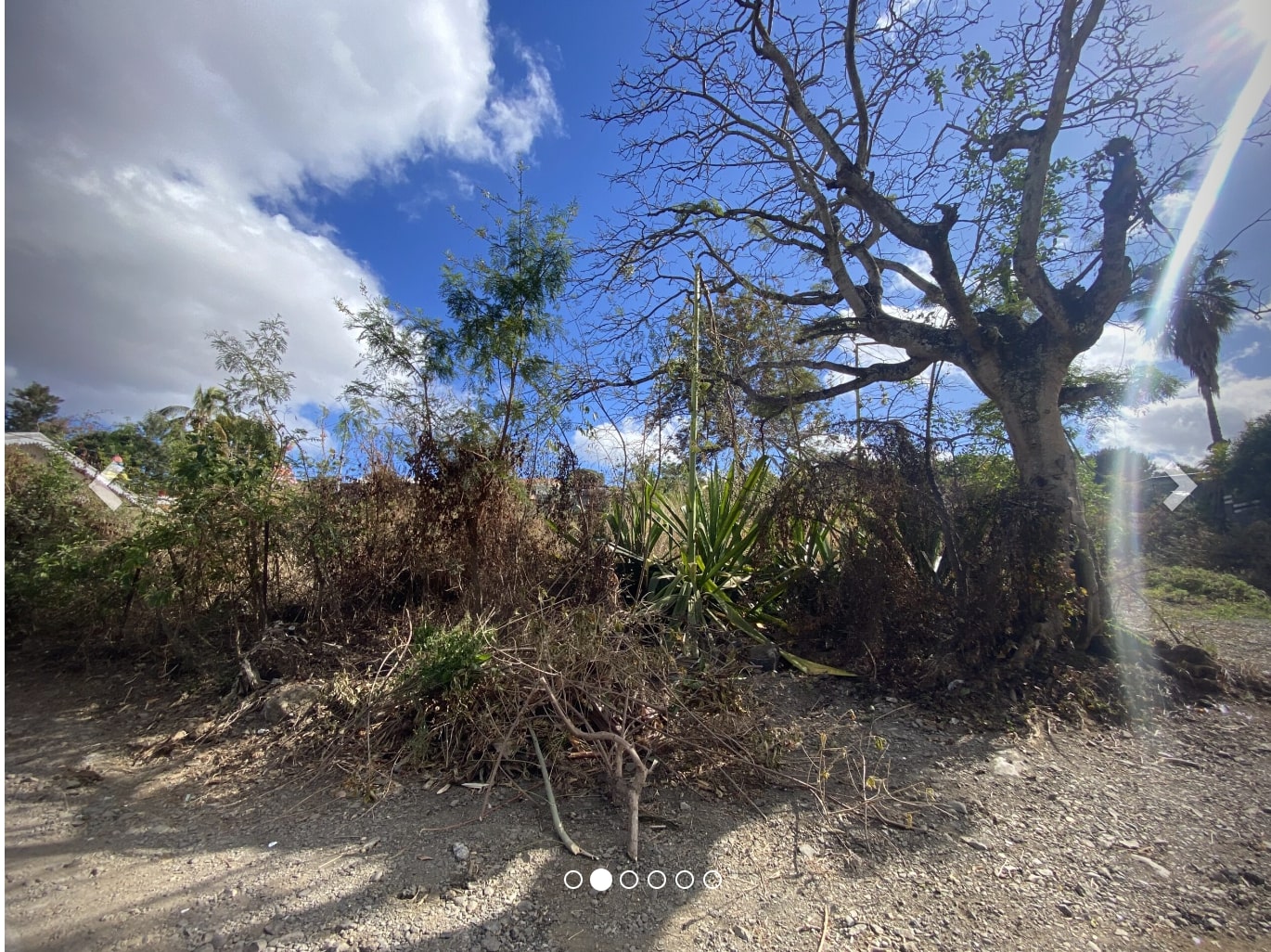 Terrain à vendre  - L'eperon (97435)