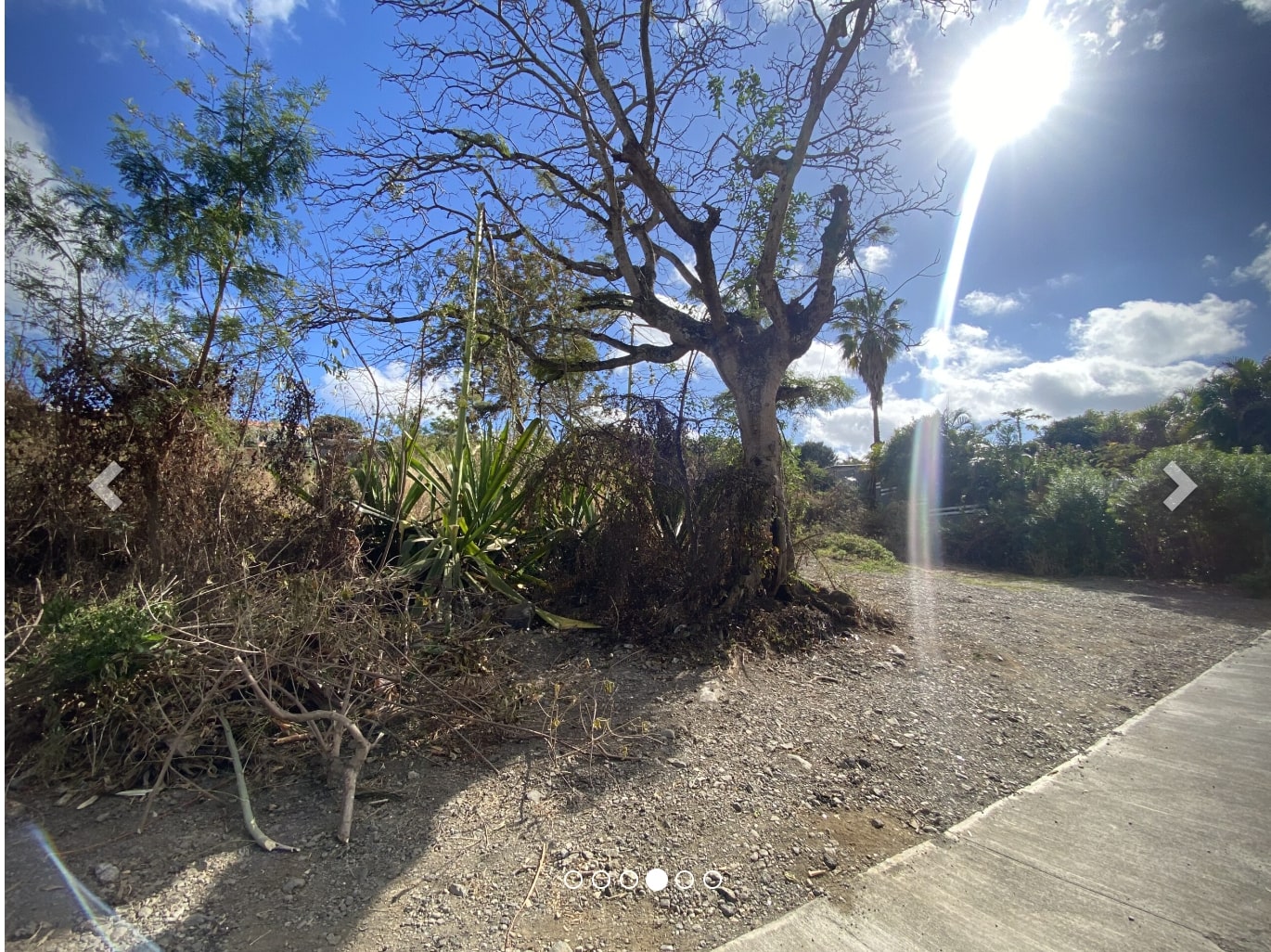 Terrain à vendre  - L'eperon (97435)