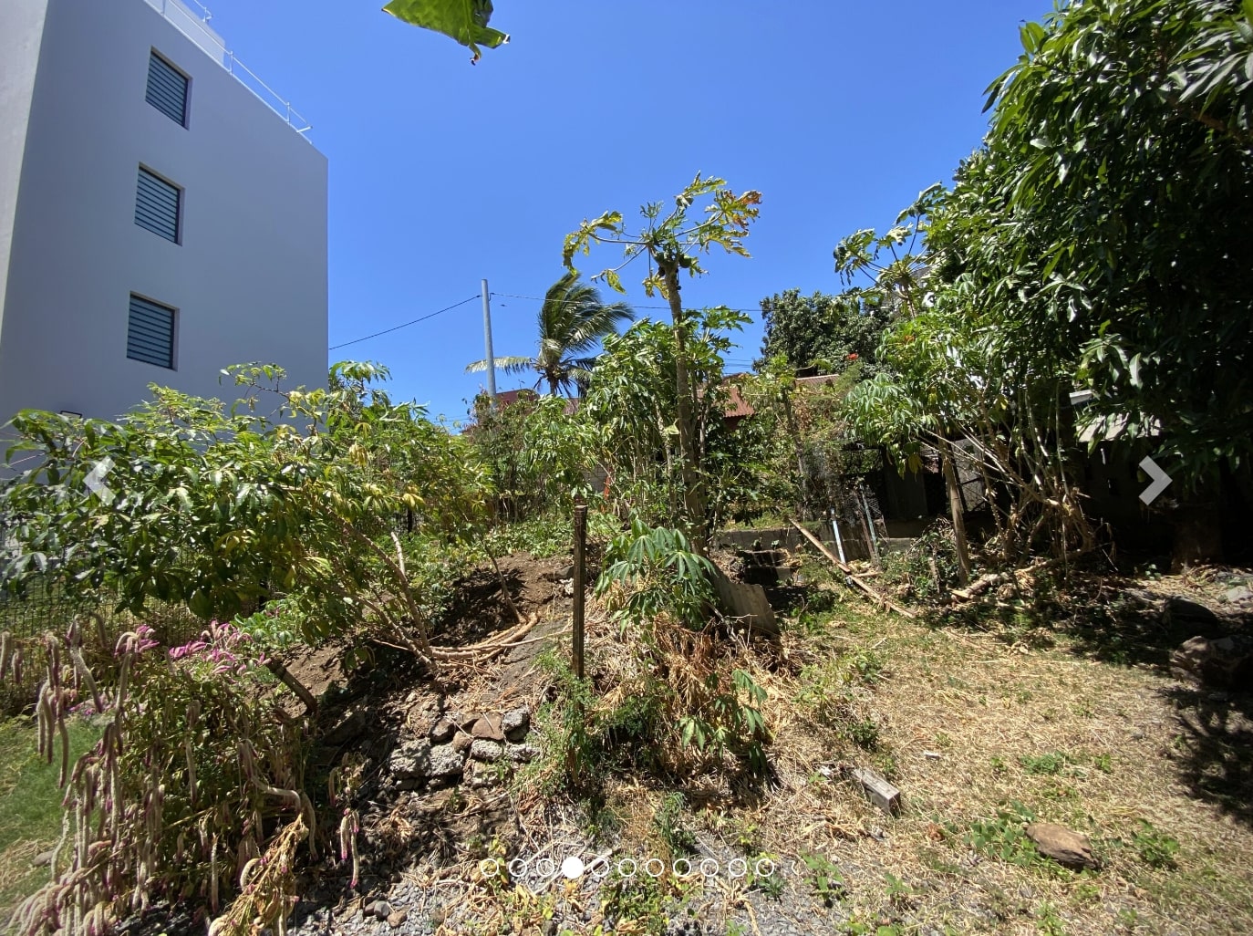 Terrain constructible à vendre  - 1 pièce(s) - 233m2 - Bois De Nèfles Sainte-clotilde (97400)