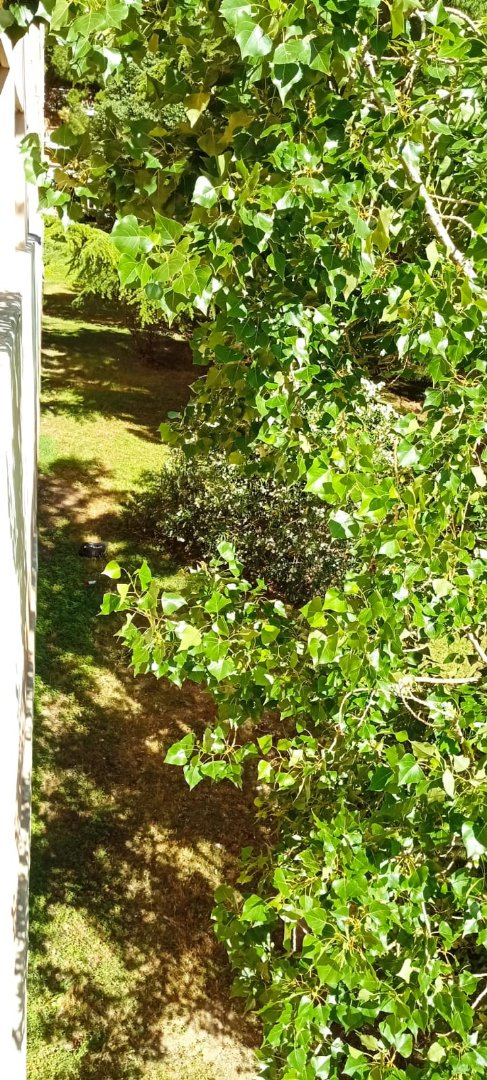 Studio à vendre  - 1 pièce(s) - 9m2 - Marseille (13012)