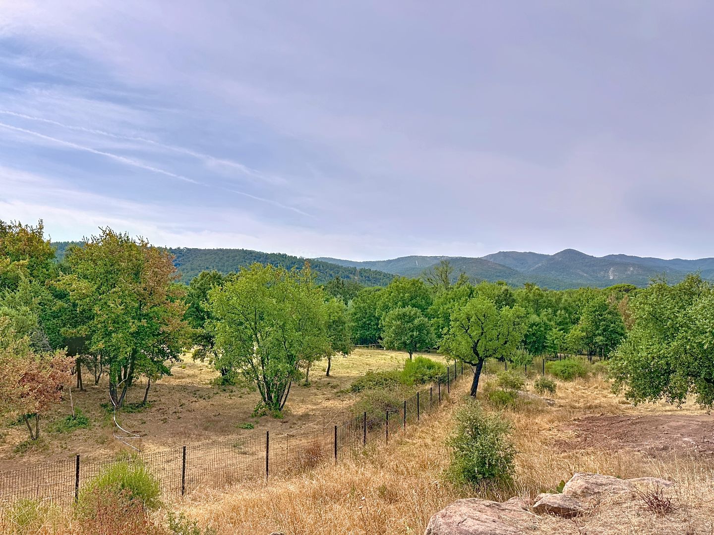 Maison à vendre  - 168m2 - La Garde-freinet (83680)