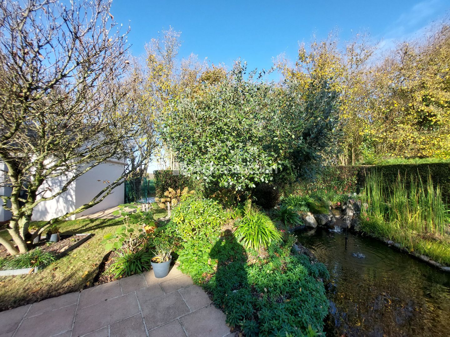 Maison à vendre  - 5 pièce(s) - 101m2 - Forcé (53260)