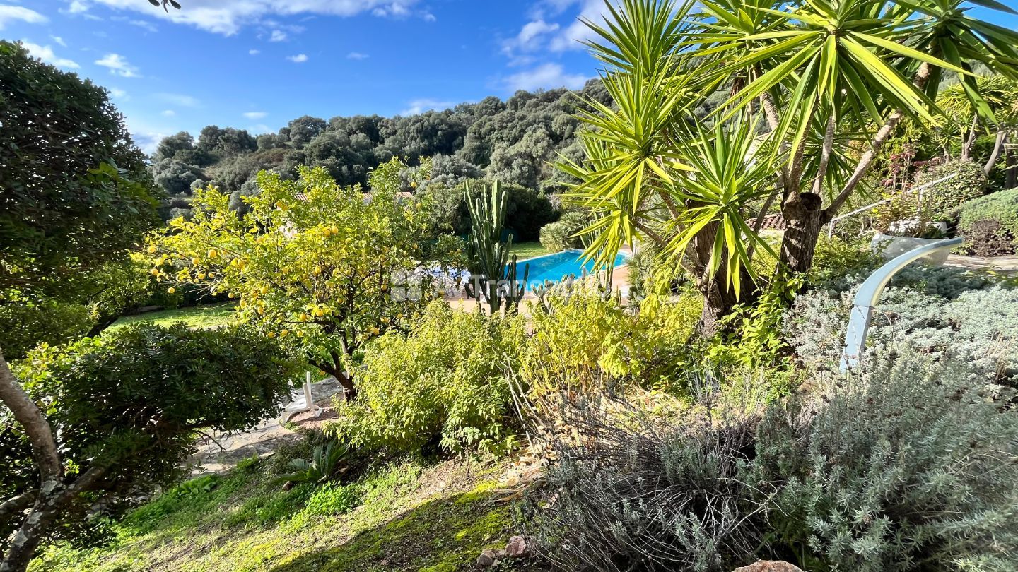 Maison à vendre  - 7 pièce(s) - 188m2 - Bastelicaccia (20129)