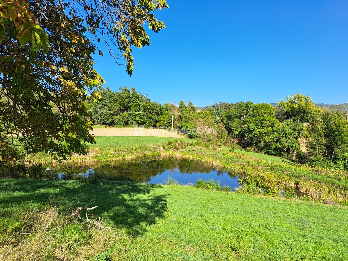 Propriété à vendre  - 16 pièce(s) - 335m2 - Vernoux En Vivarais (07240)