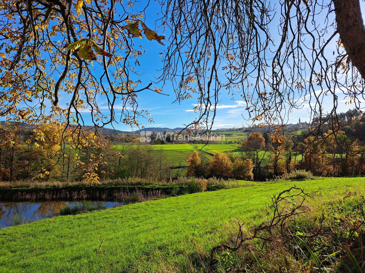 Propriété à vendre  - 16 pièce(s) - 335m2 - Vernoux En Vivarais (07240)