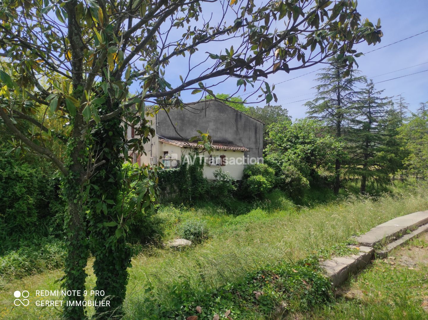 Deux maisons et jardin 1,6 hectare