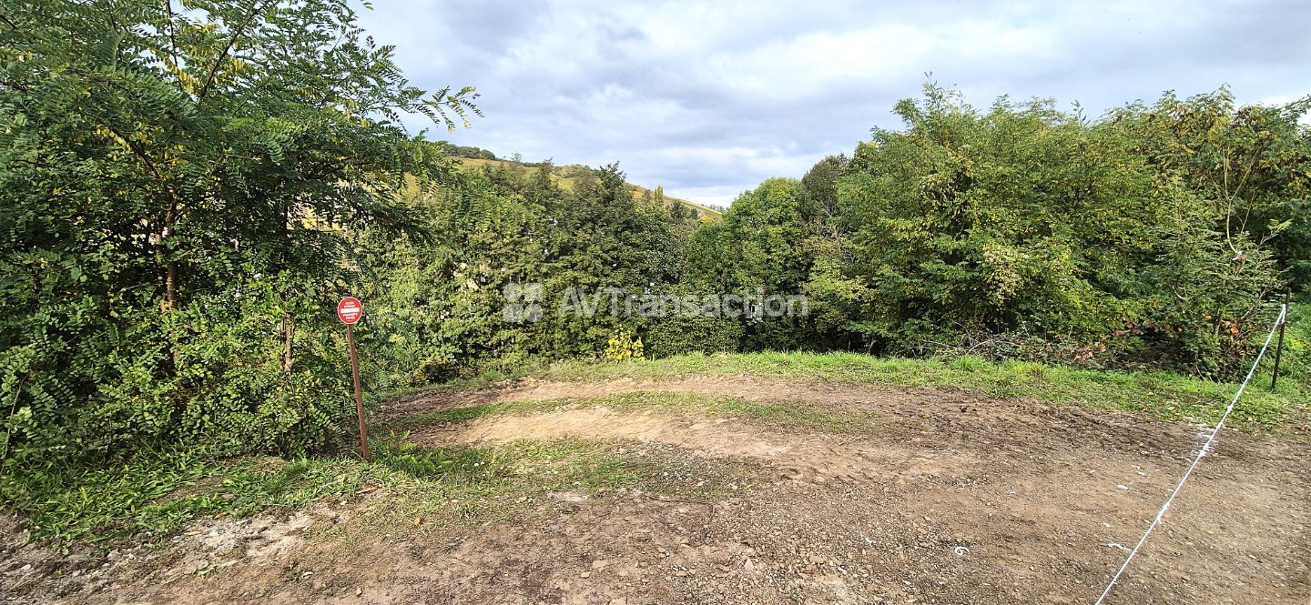 Terrain à vendre  - 1316m2 - Barr (67140)