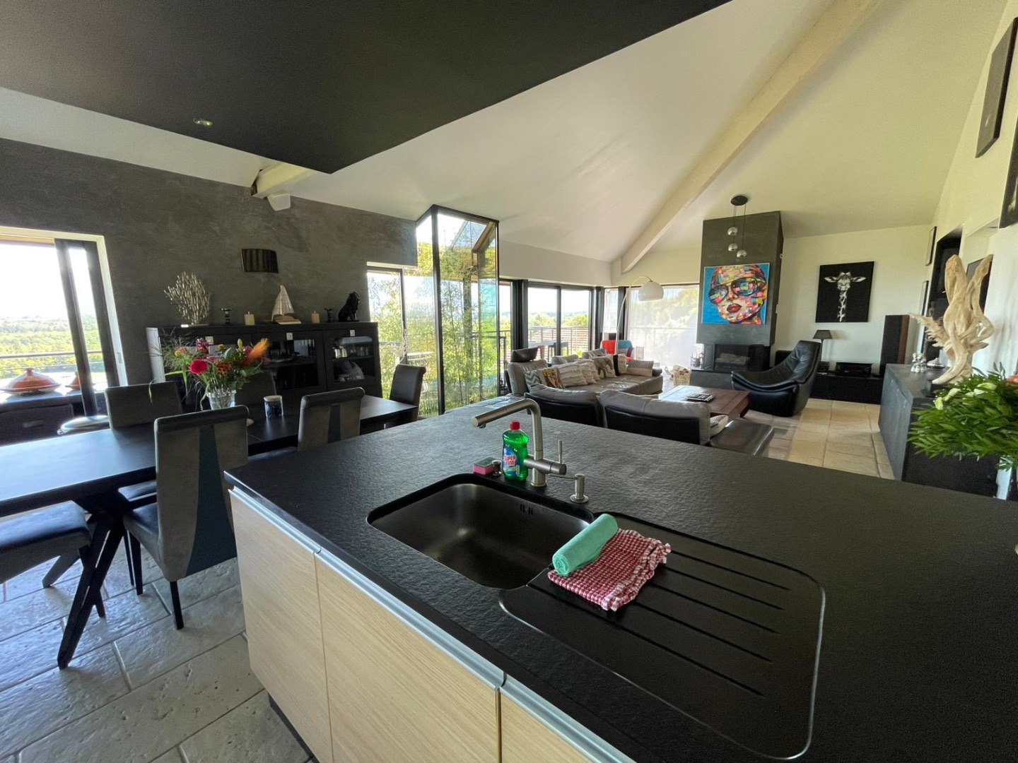 Villa d'architecte à louer  - 6 pièce(s) - 300m2 - Sciez (74140)